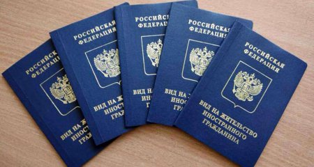 Вид на жительство в РФ: что такое, как выглядит, срок действия
