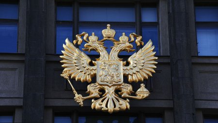 Как проверить готовность гражданства РФ?