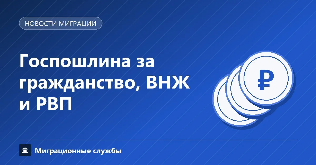 Госпошлина за гражданство РФ: размеры платежей за ВНЖ и РВП